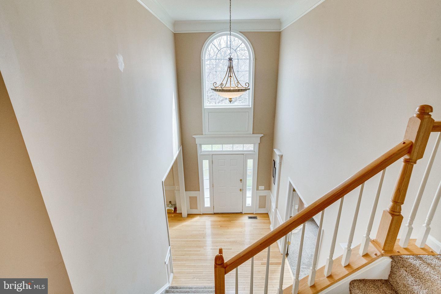 2517 Saint George WAY