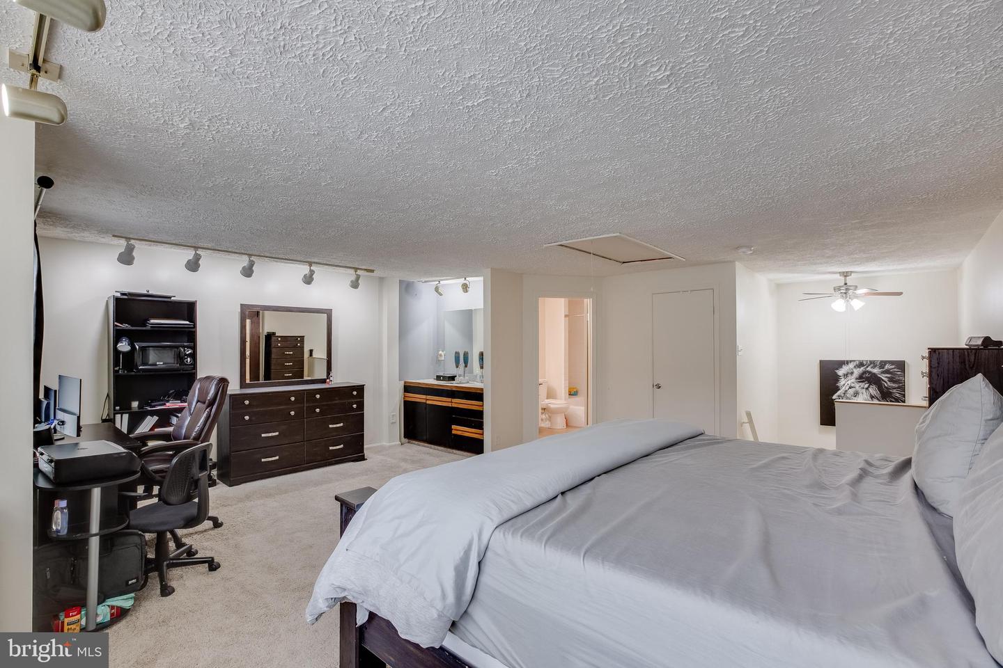 13519 Demetrias WAY