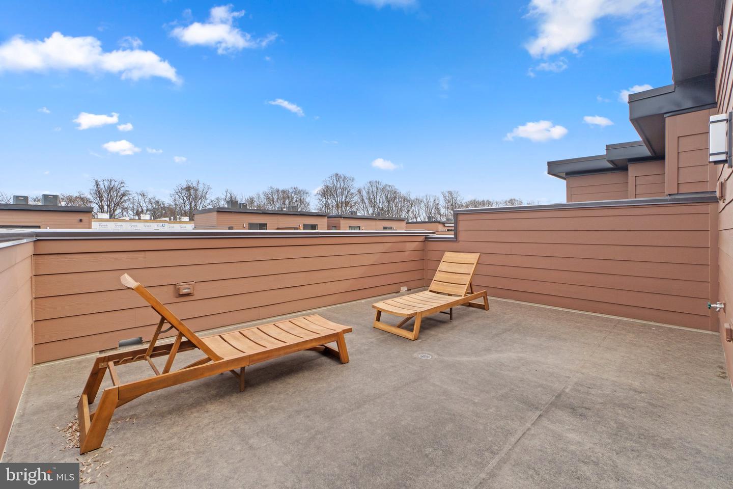 3310 Woodland Phlox STREET