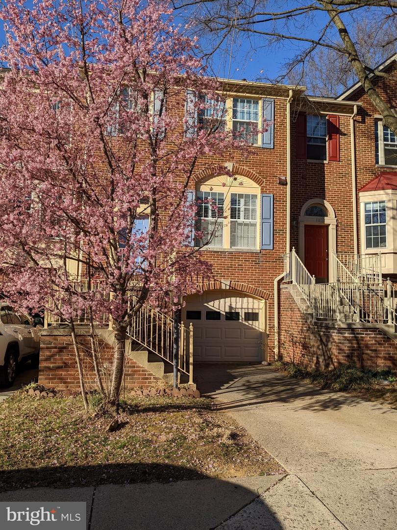 8 Beacon Hill WAY