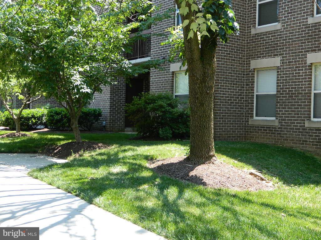 18403 Guildberry DRIVE Unit: 302