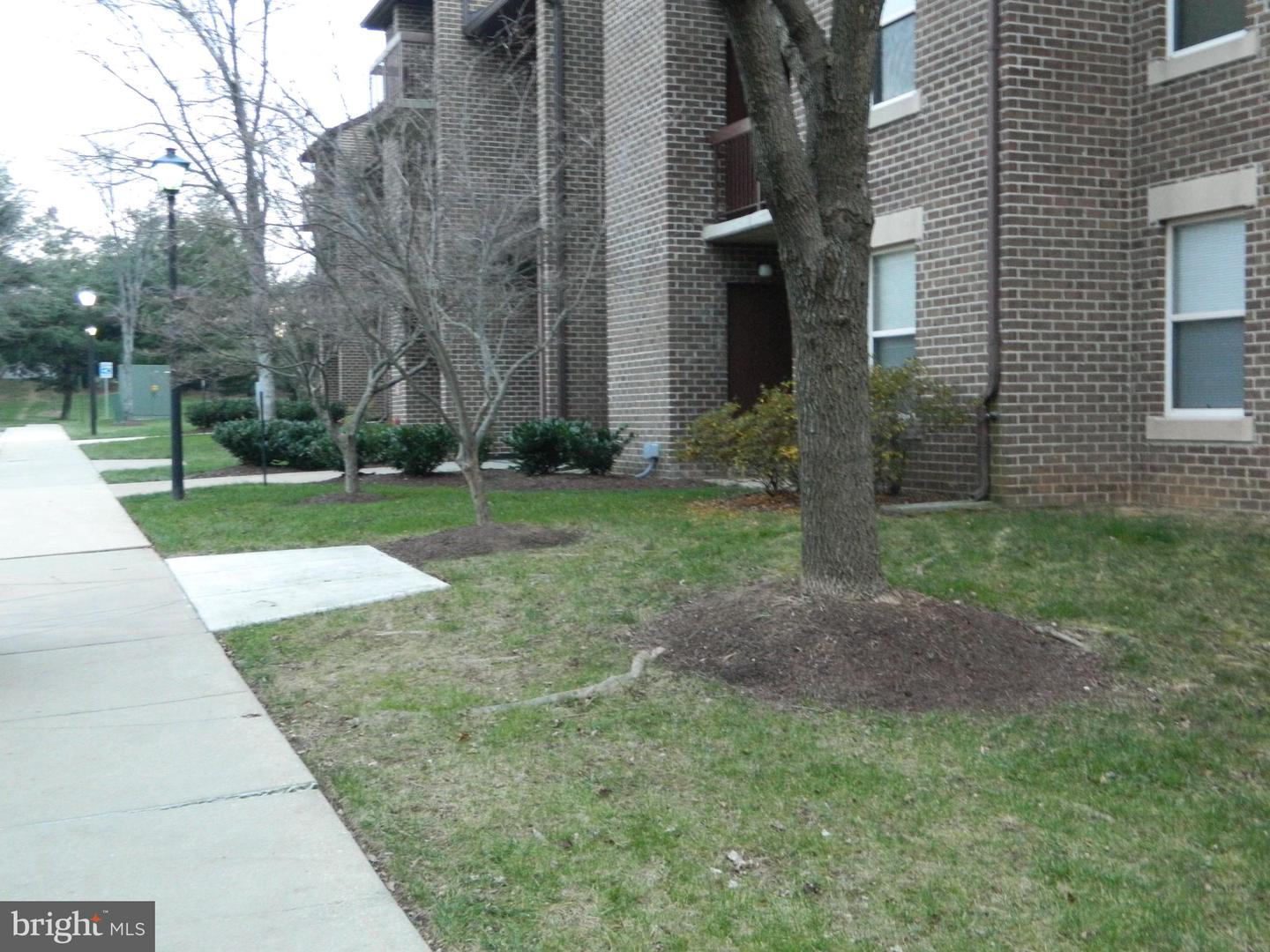 18403 Guildberry DRIVE Unit: 302
