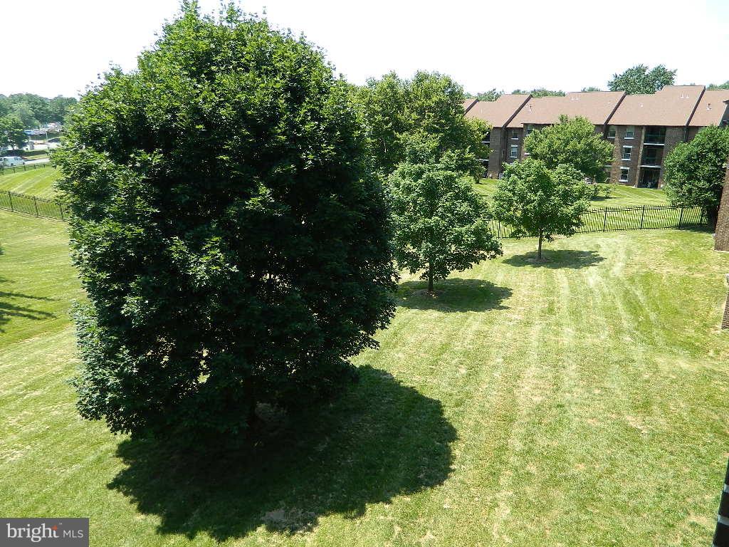 18403 Guildberry DRIVE Unit: 302