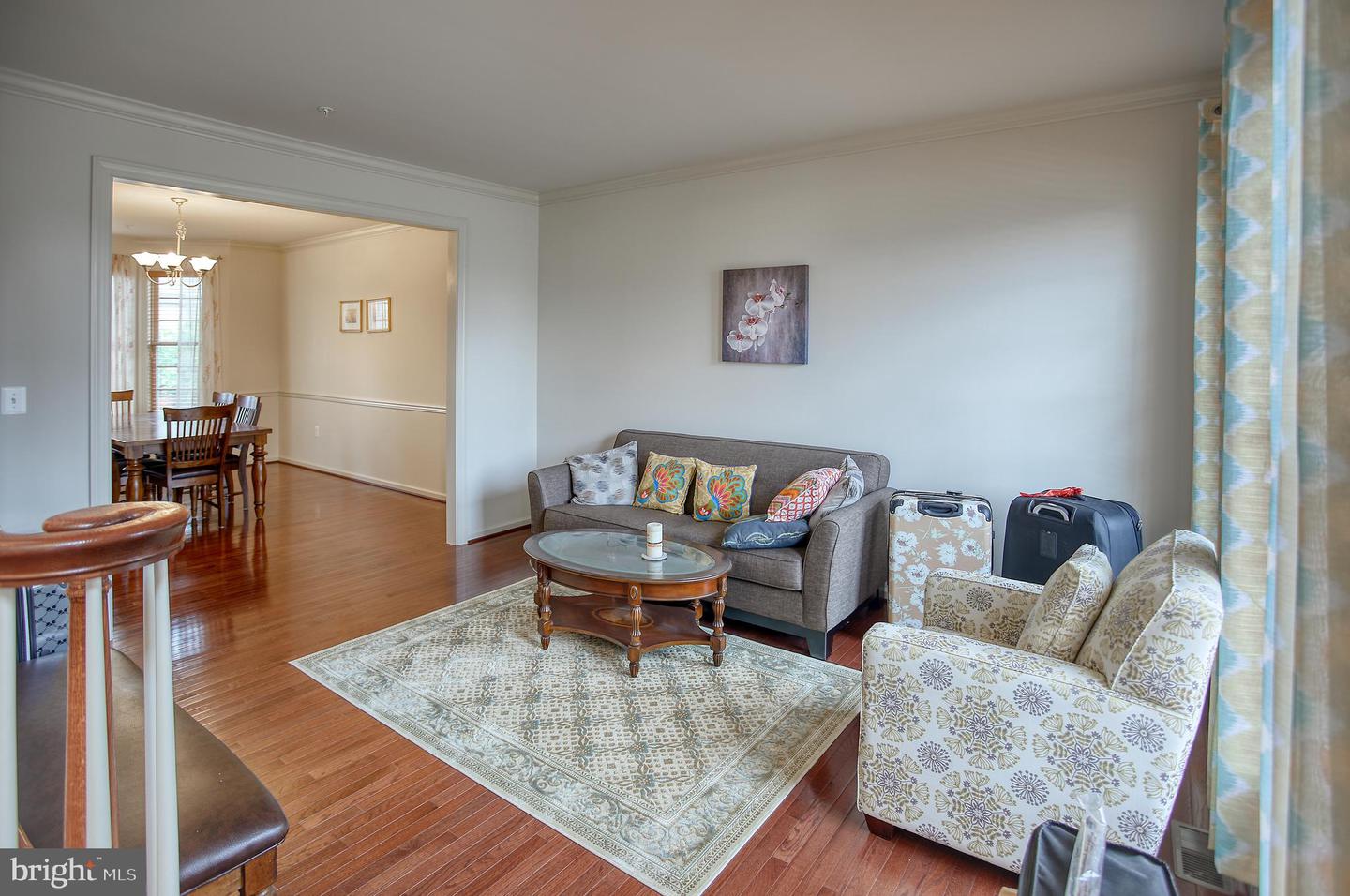 13336 Redspire DRIVE