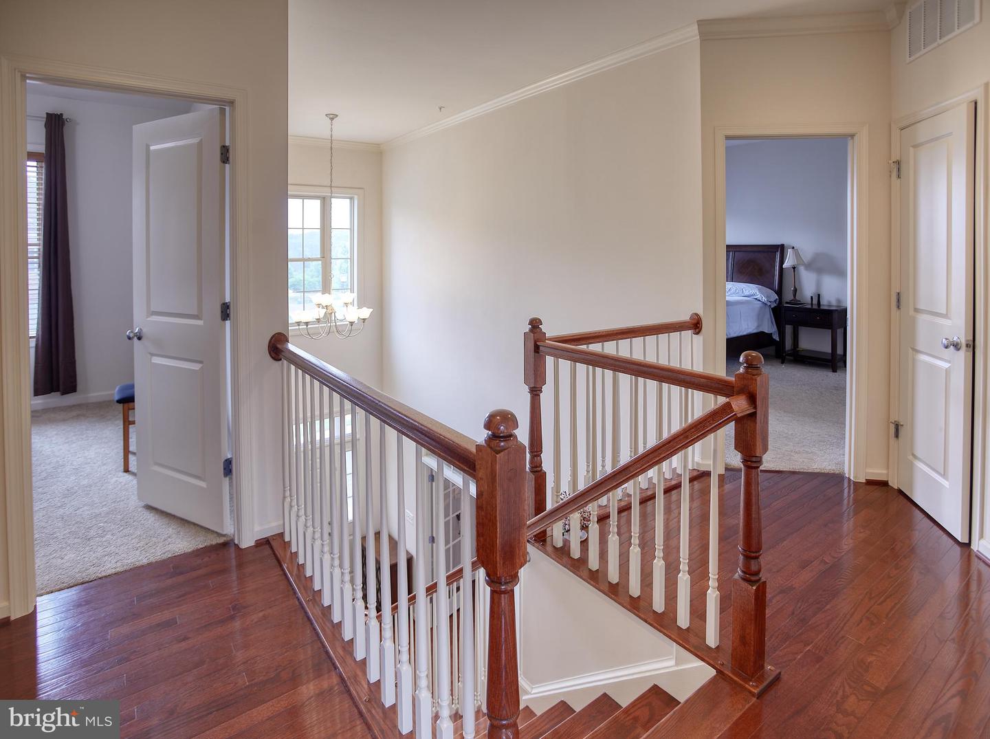 13336 Redspire DRIVE