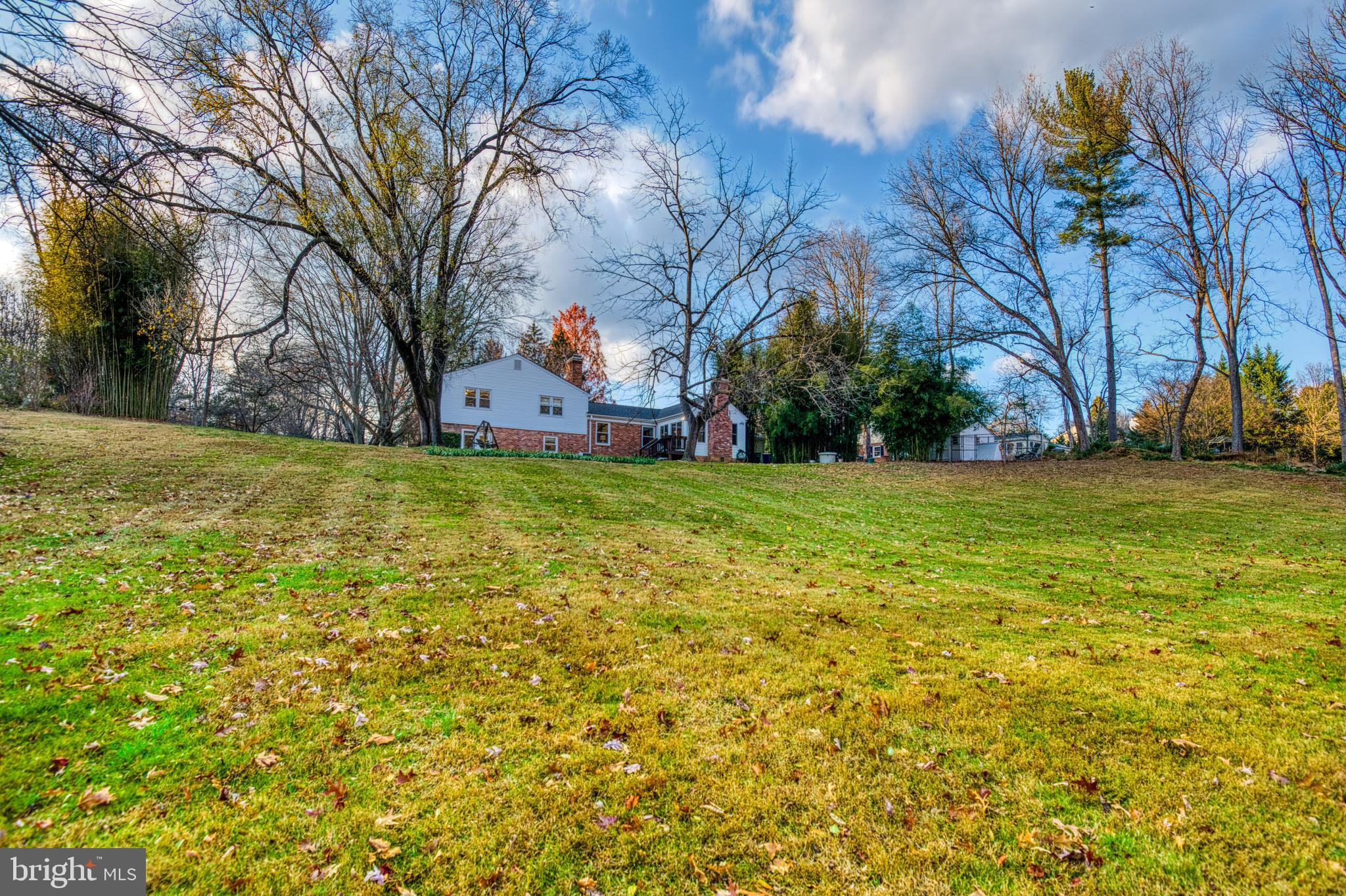 13124 Chestnut Oak DRIVE