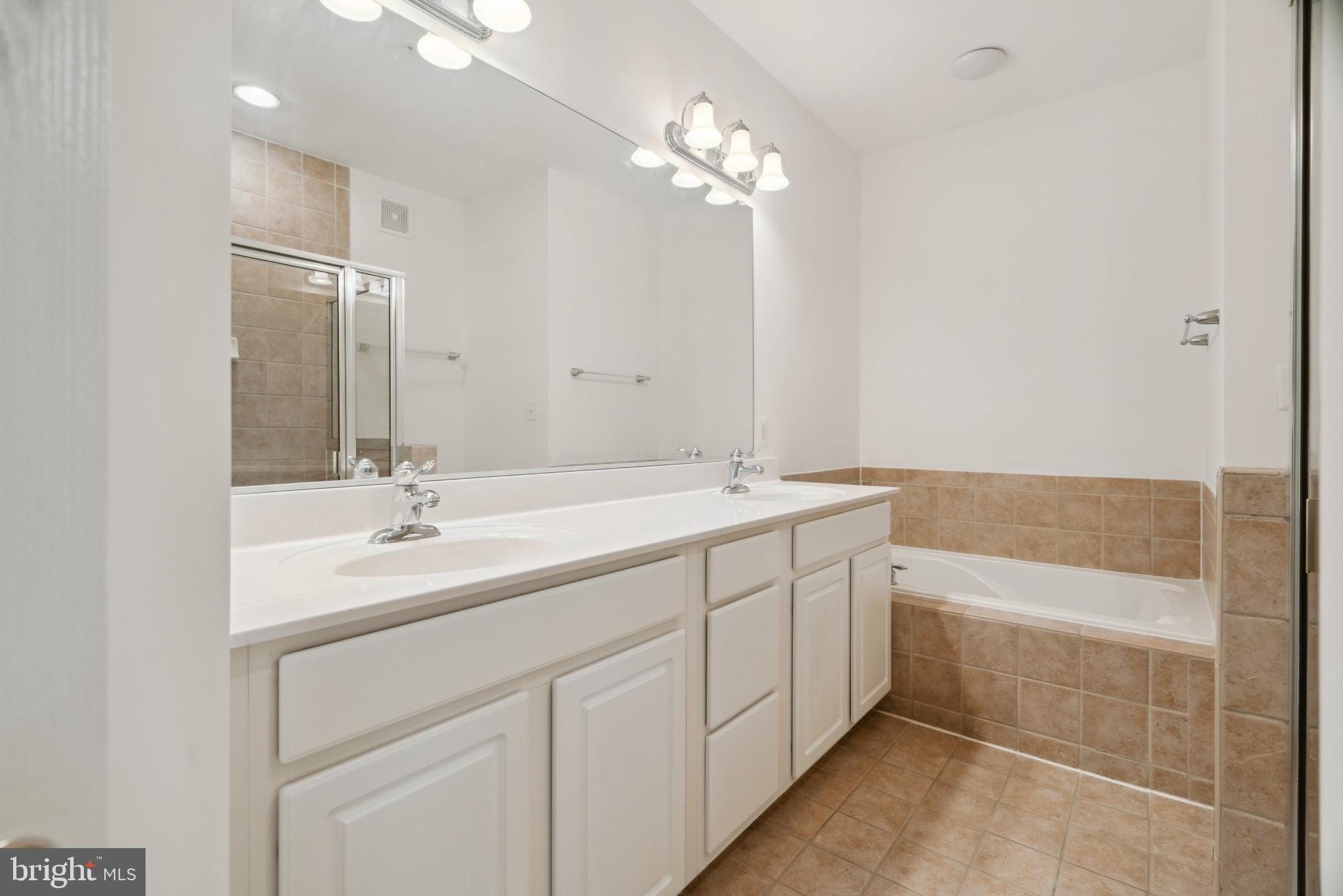 13619 Dover Cliffs Pl #13619