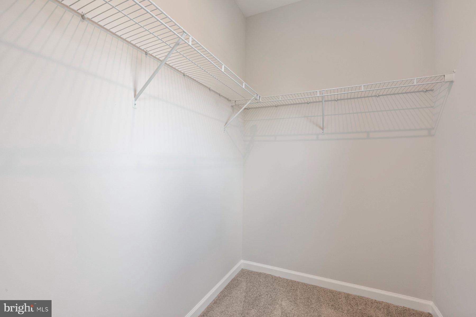 13742 Dovekie Ave #405l