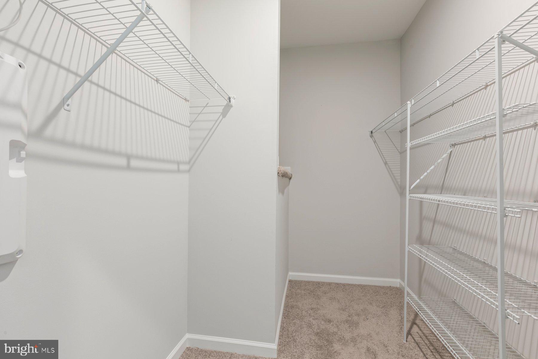 13742 Dovekie Ave #405l