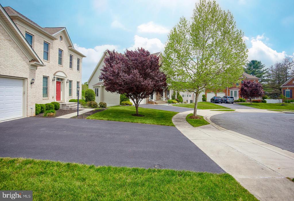 1105 VERBENA CT