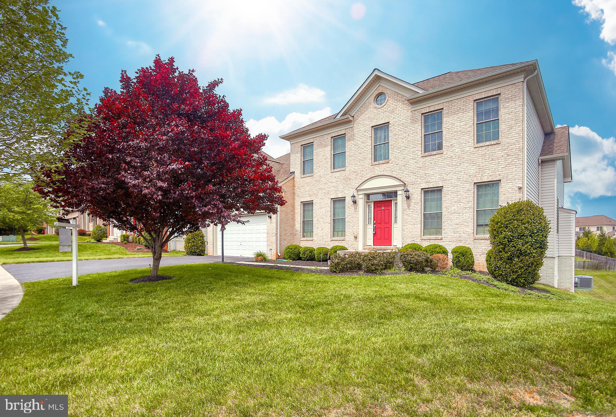 1105 VERBENA CT