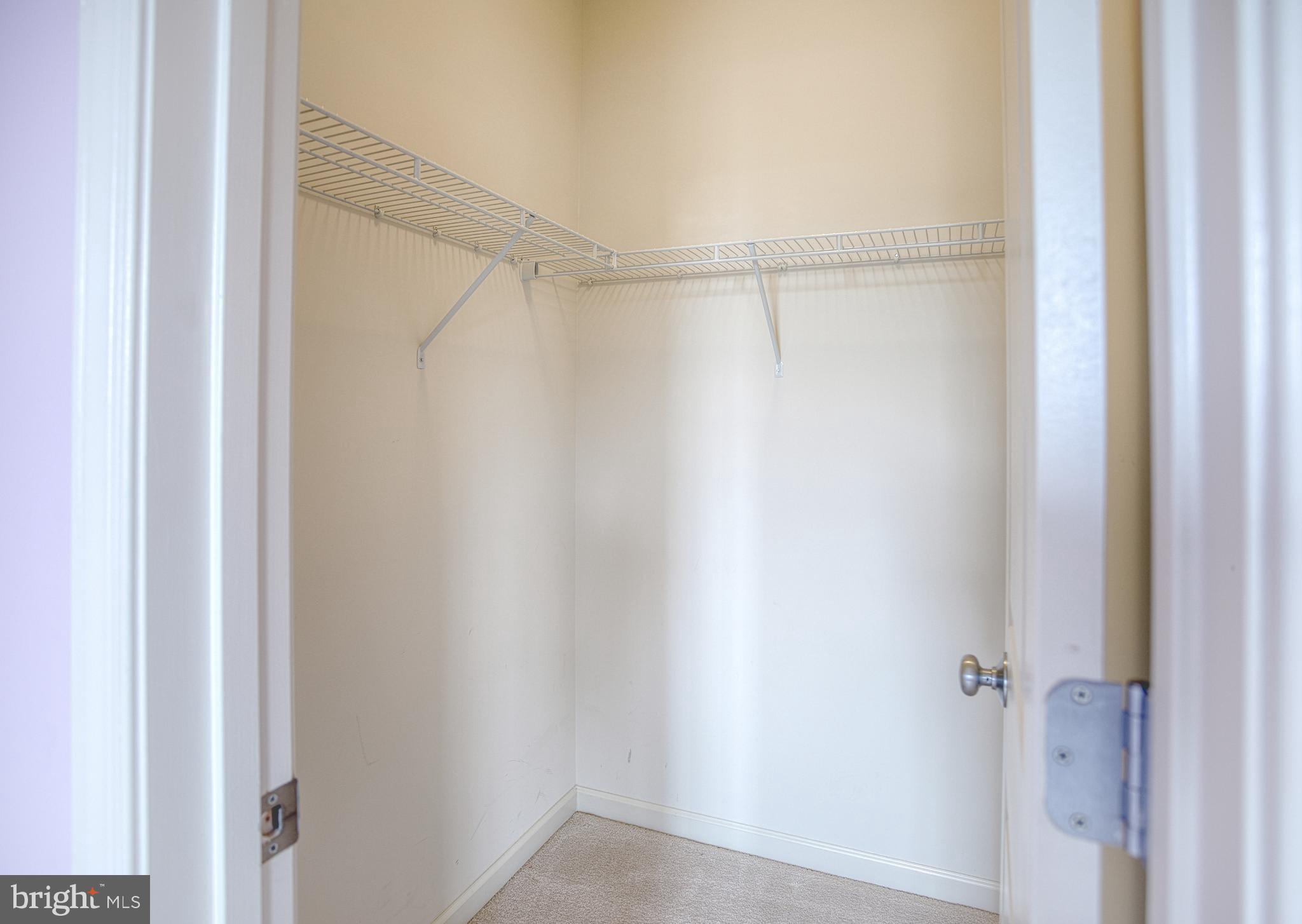 1105 VERBENA CT