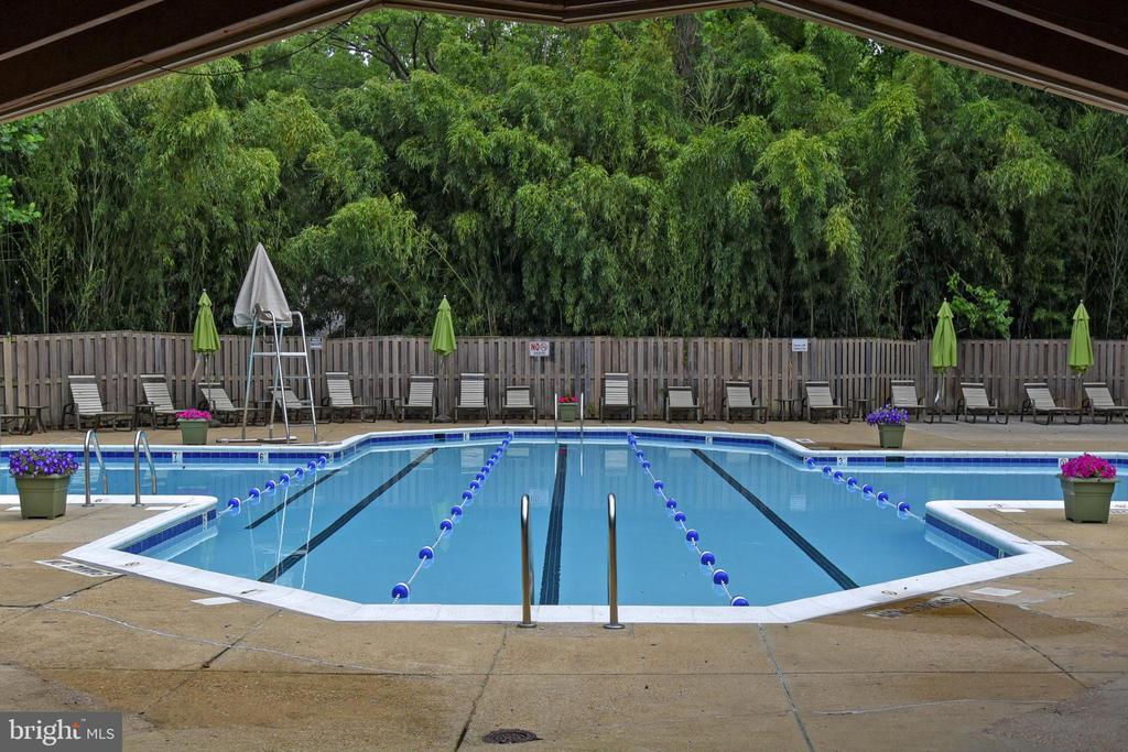 9039 Sligo Creek Pkwy #1814