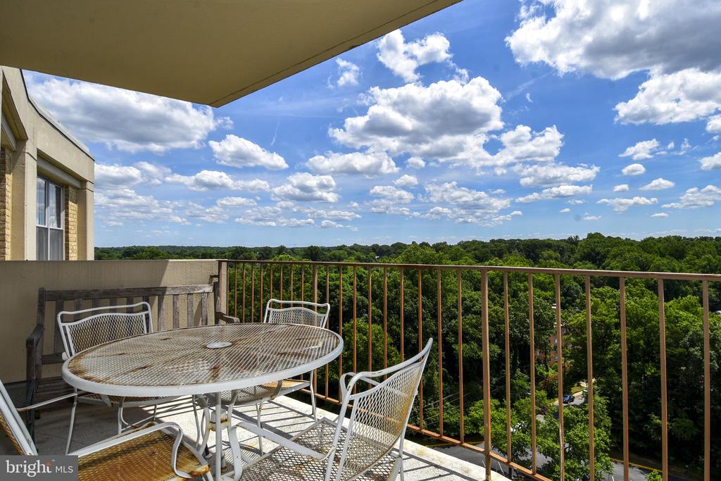 9039 Sligo Creek Pkwy #1814
