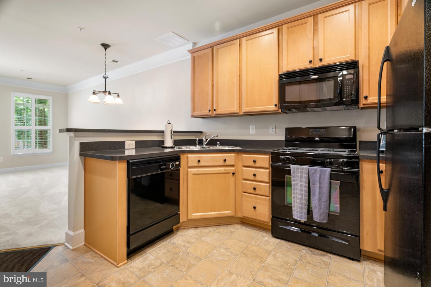 19429 Dover Cliffs Circle