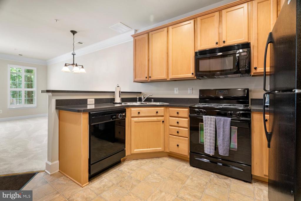 19429 Dover Cliffs Circle