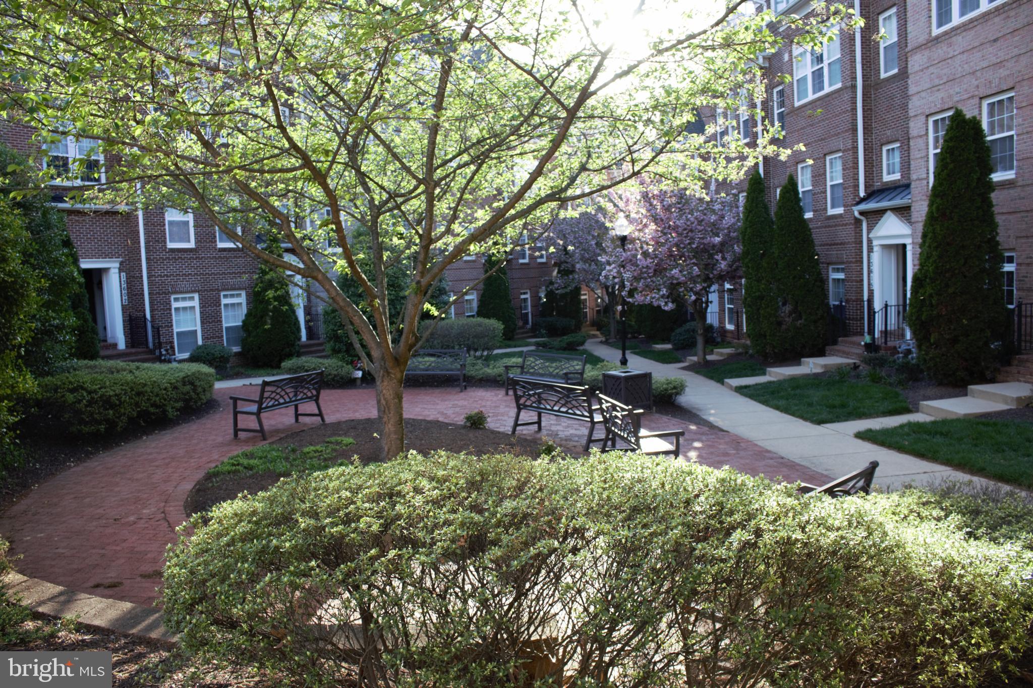19429 Dover Cliffs Circle
