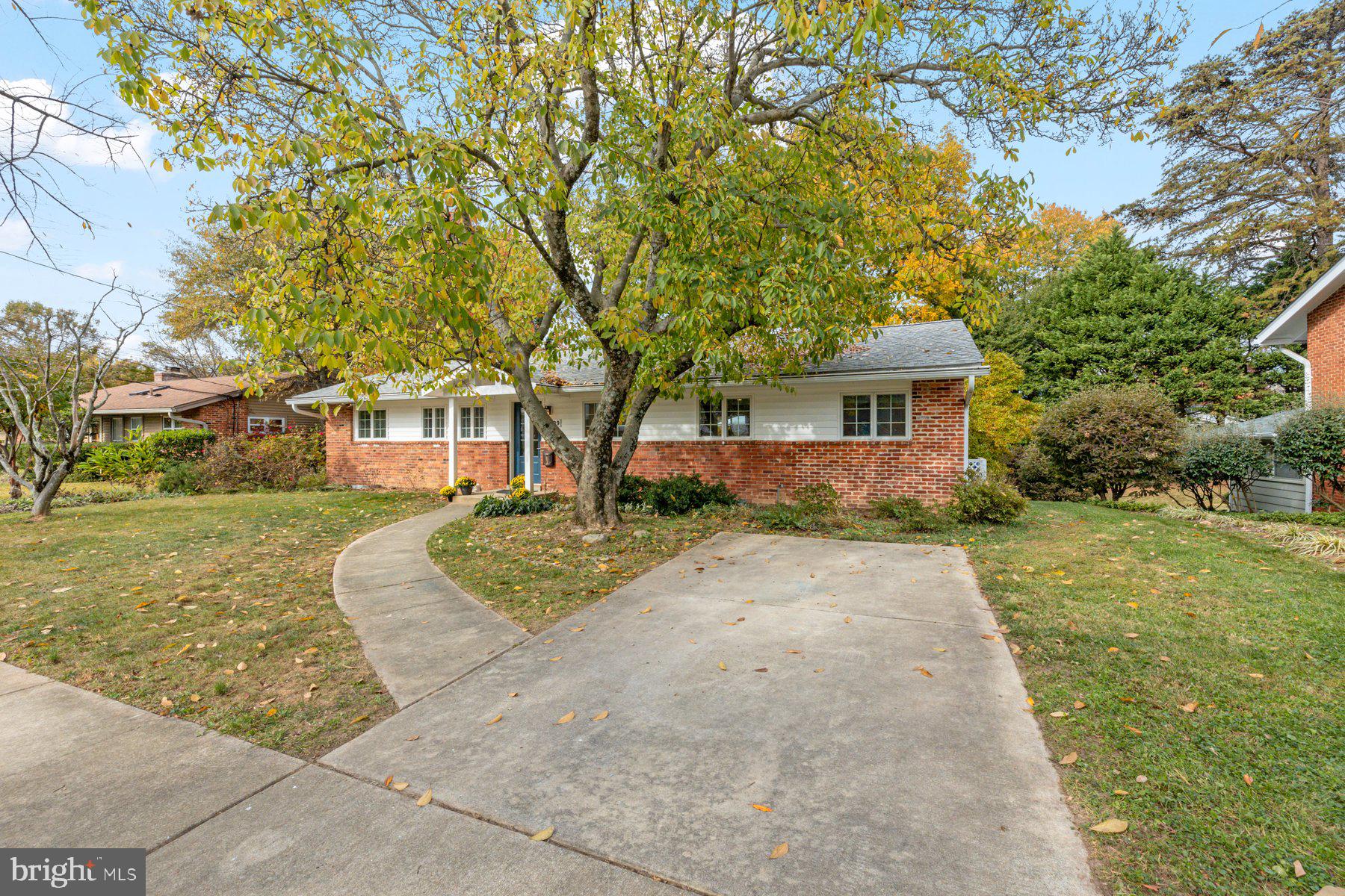 5009 White Flint Dr