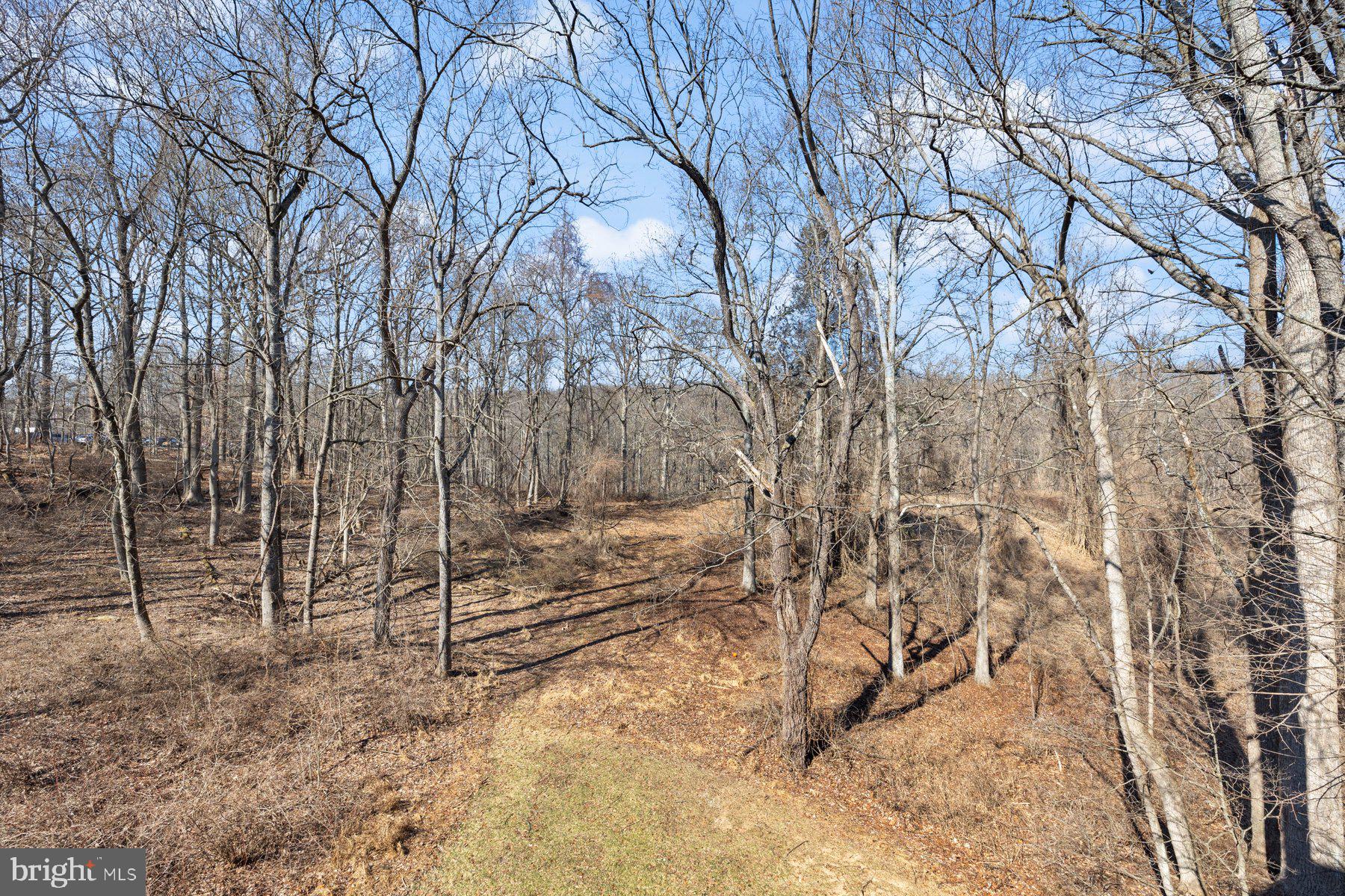 2001 Deertree Ln