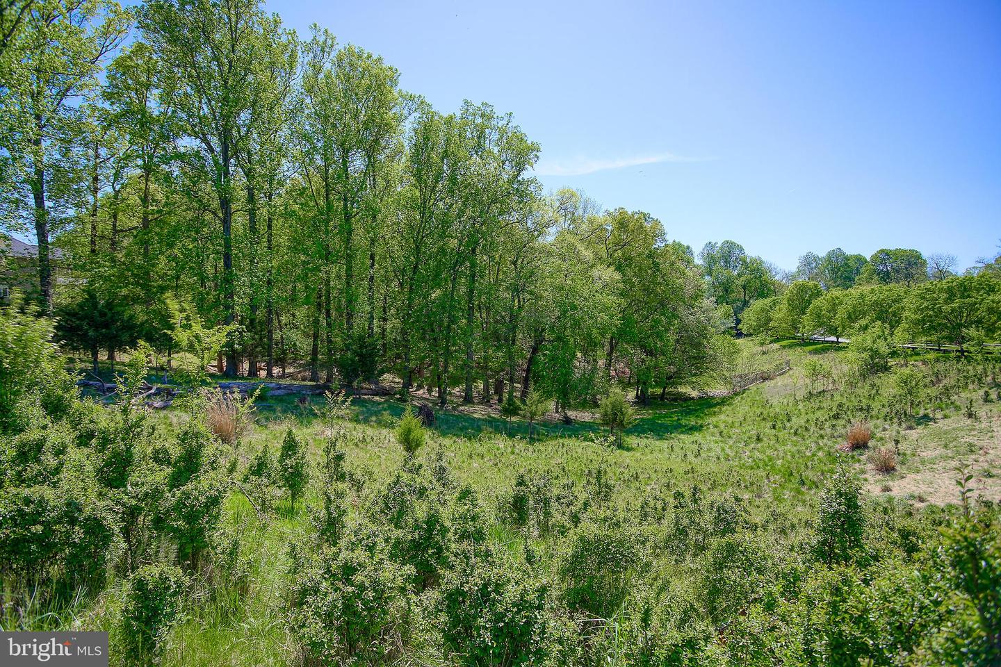 13501 Moonlight Trail Dr