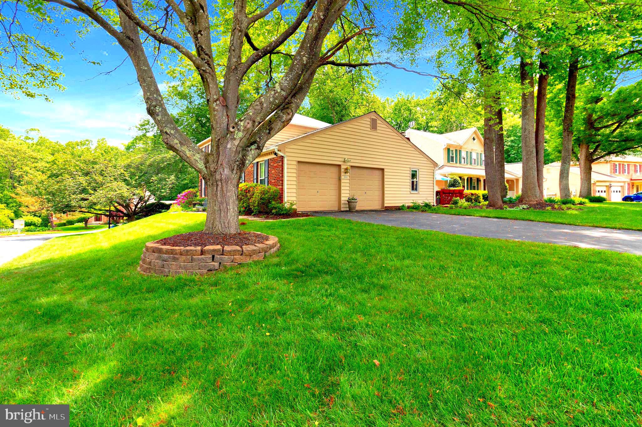 20553 Anndyke Way