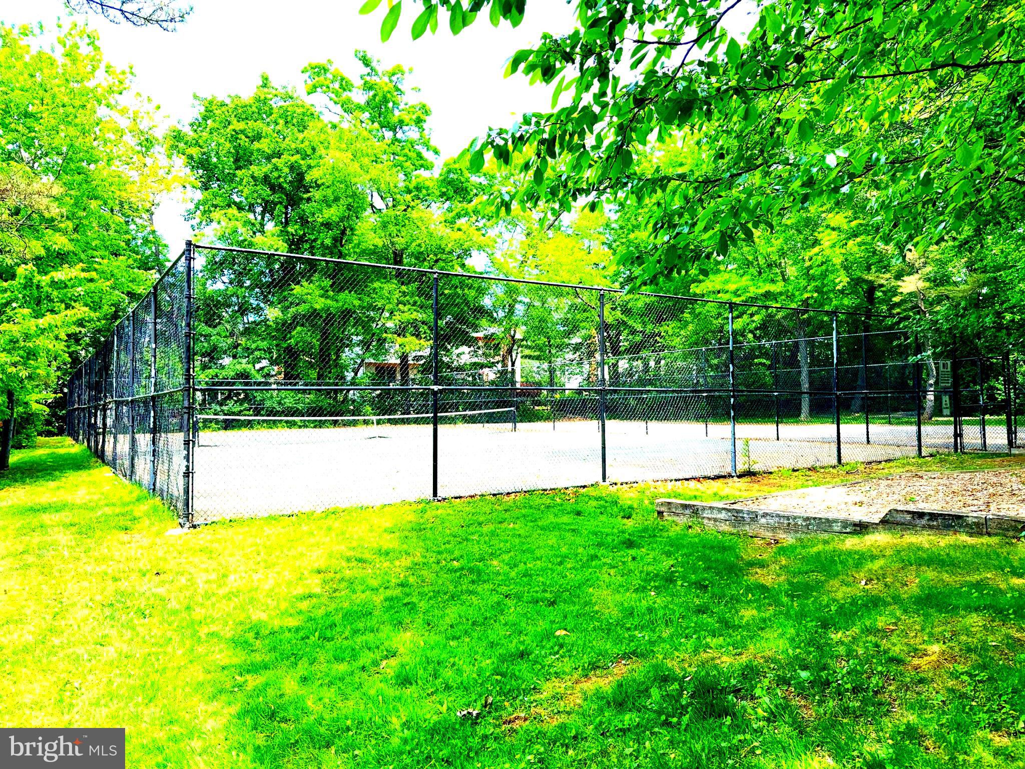 20553 Anndyke Way