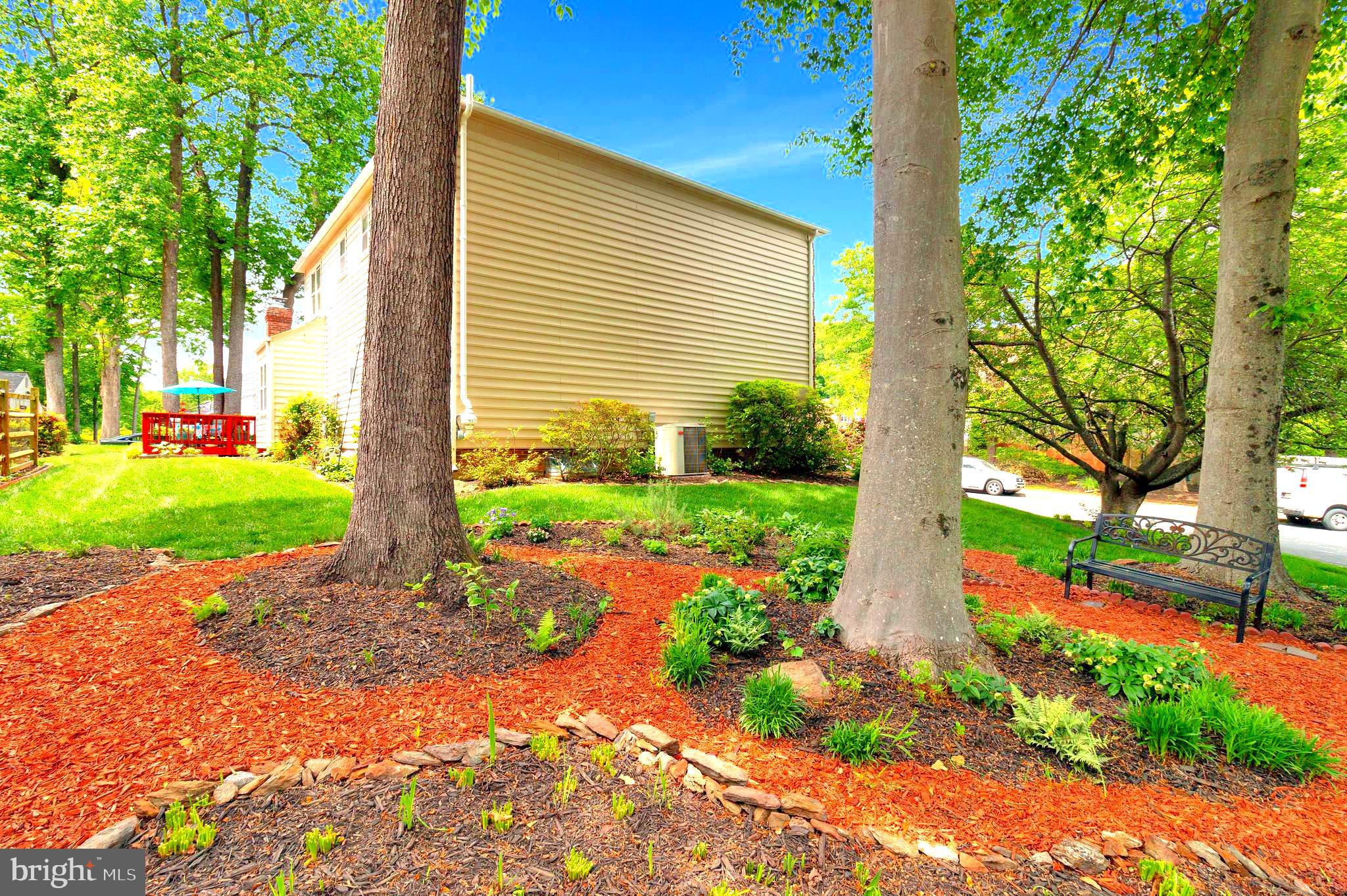 20553 Anndyke Way