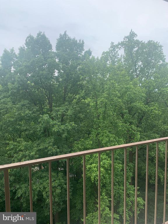 9039 Sligo Creek Pkwy #706