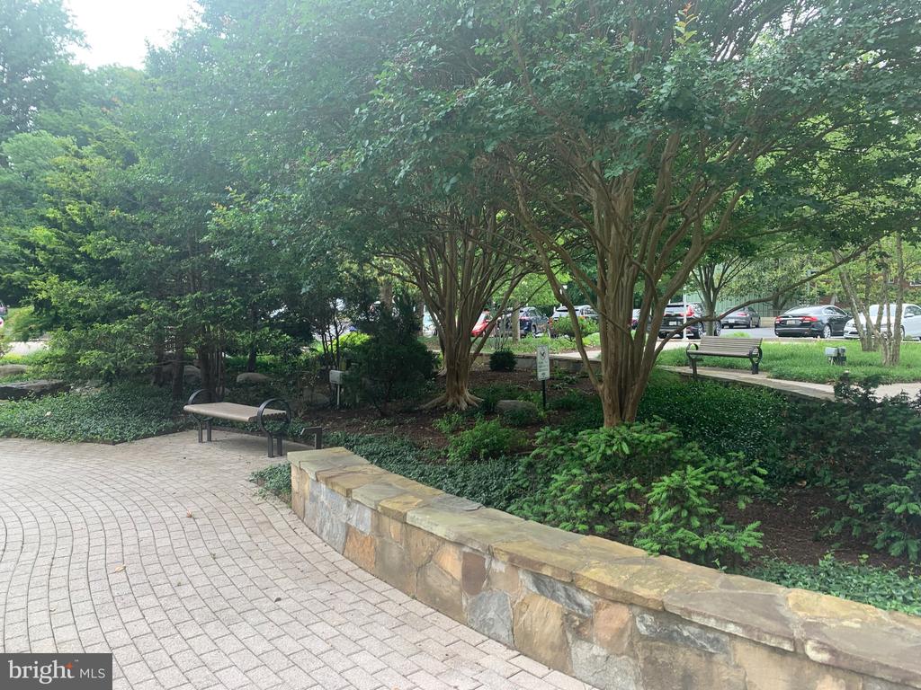 9039 Sligo Creek Pkwy #706