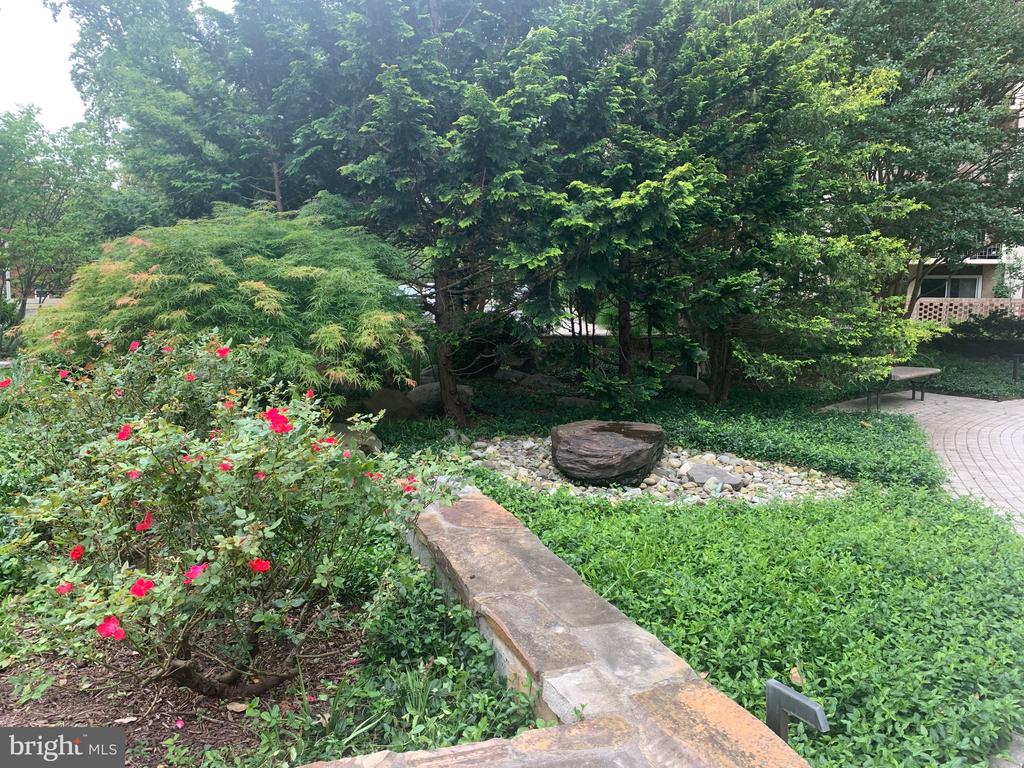 9039 Sligo Creek Pkwy #706