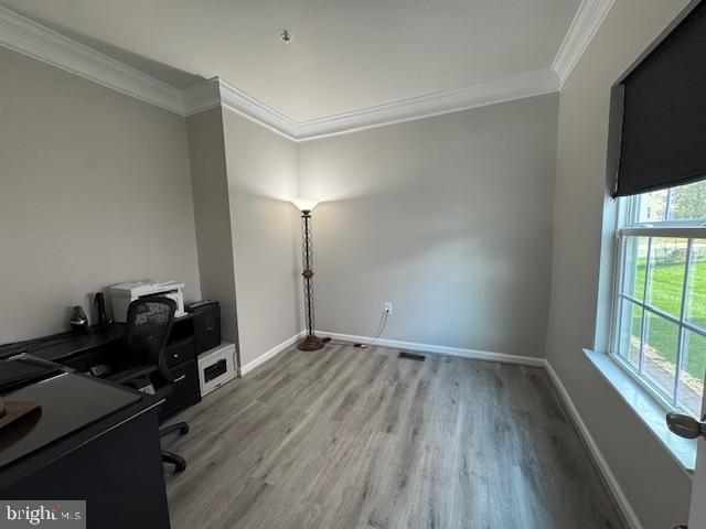 1009 Guillemot Dr
