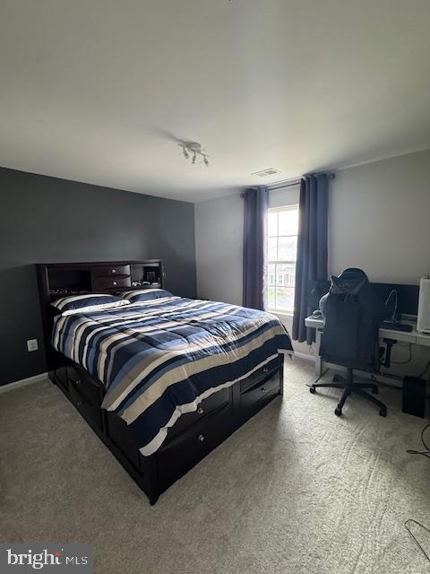 1009 Guillemot Dr