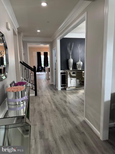 1009 Guillemot Dr