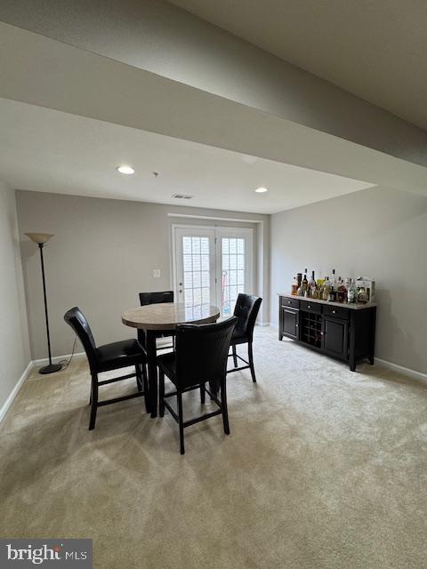 1009 Guillemot Dr