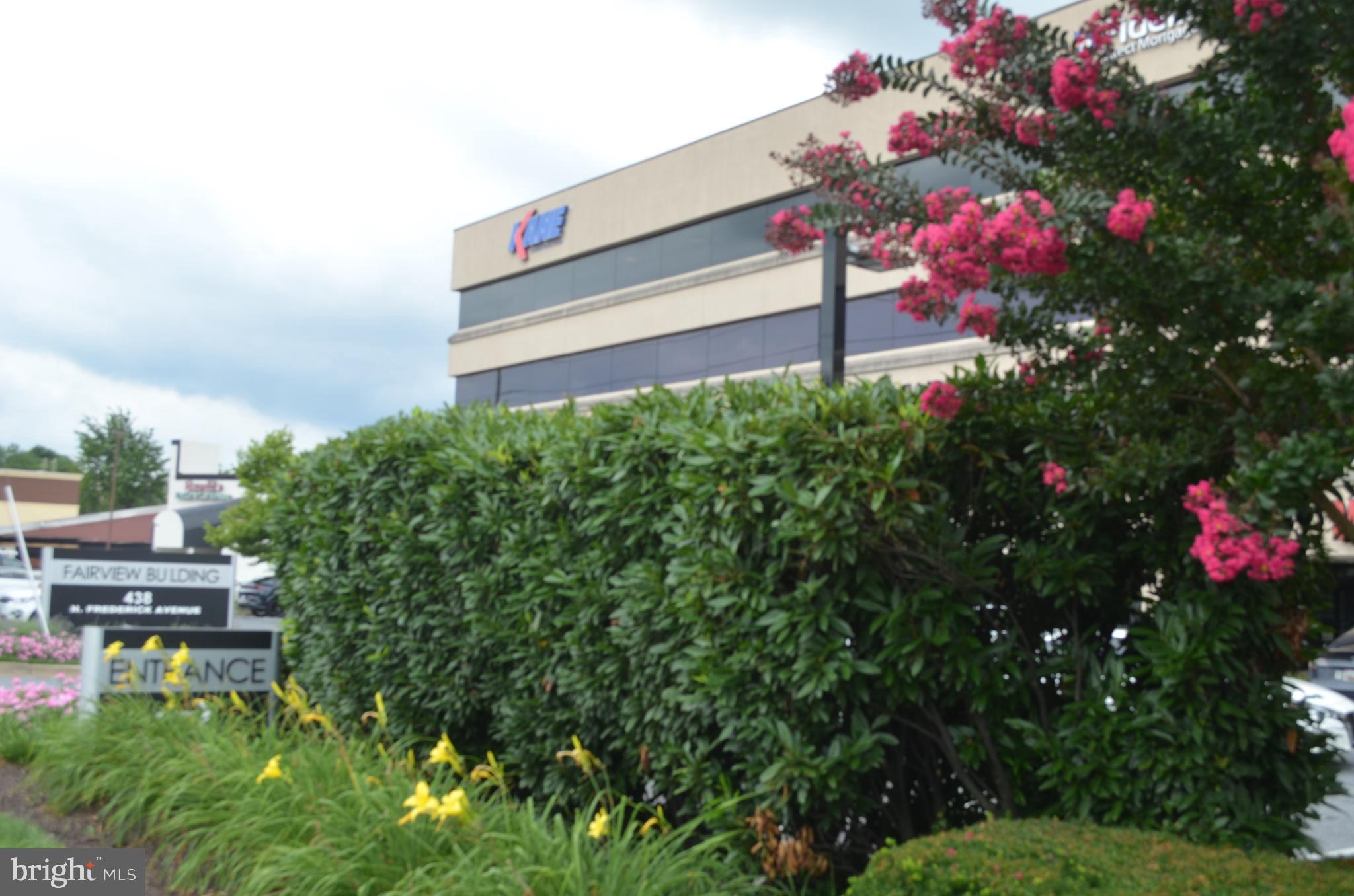 438 N FREDERICK AVENUE 455