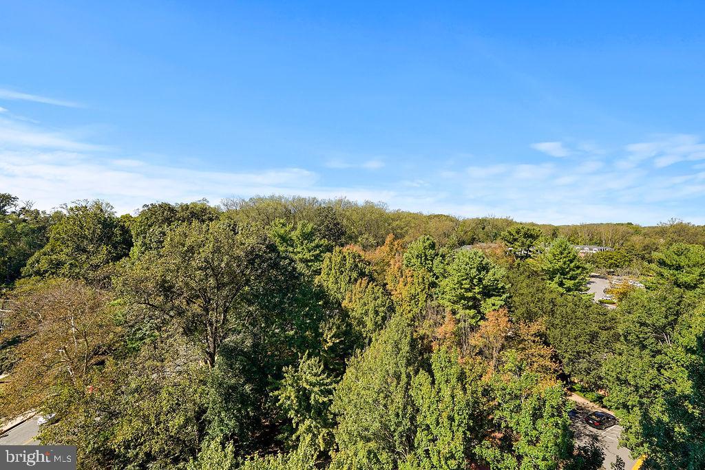 10101 GROSVENOR PLACE 1004