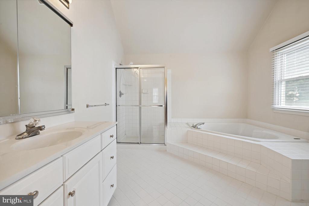 22003 WHITE TRELLIS LANE