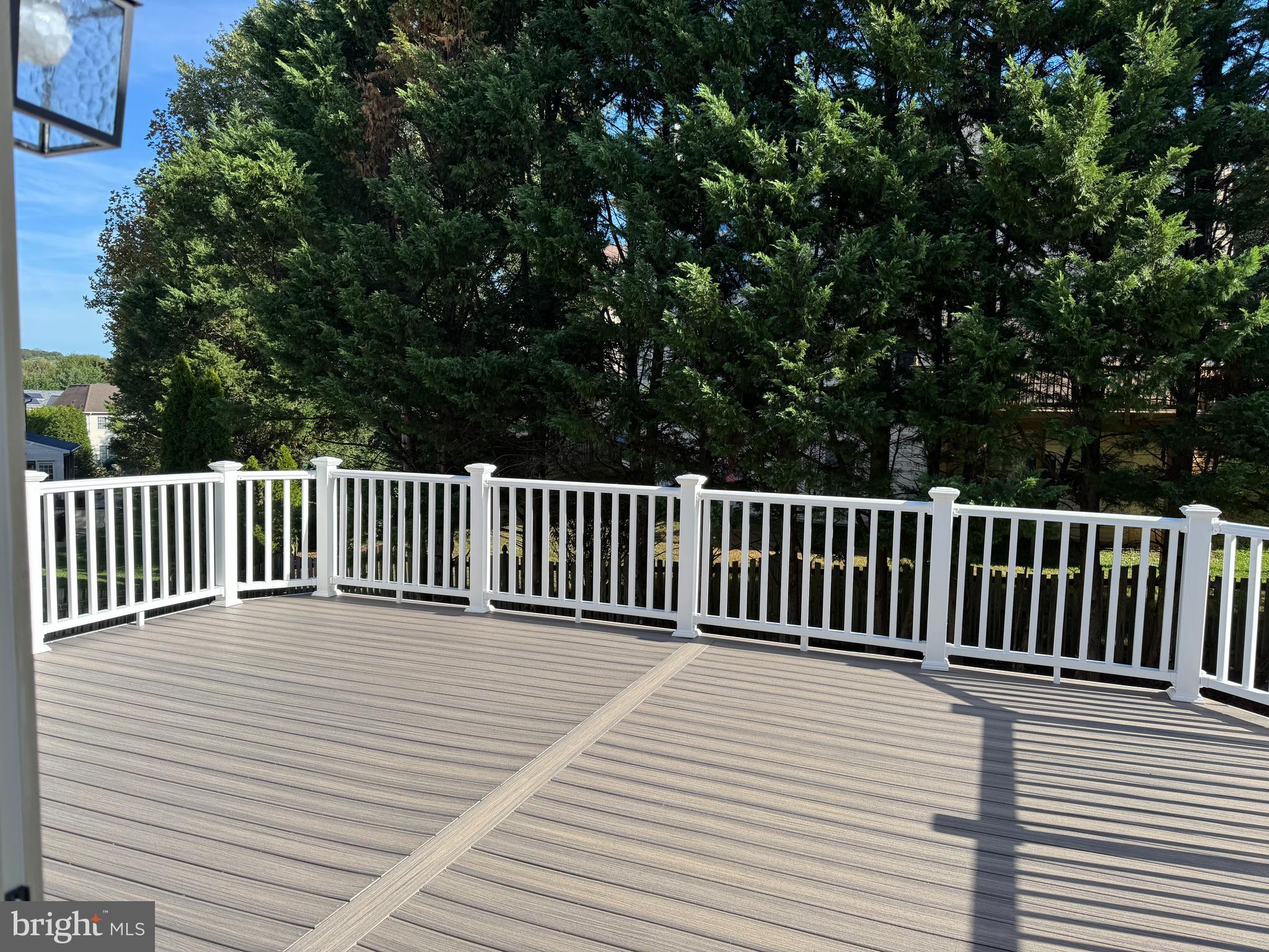 22003 WHITE TRELLIS LANE