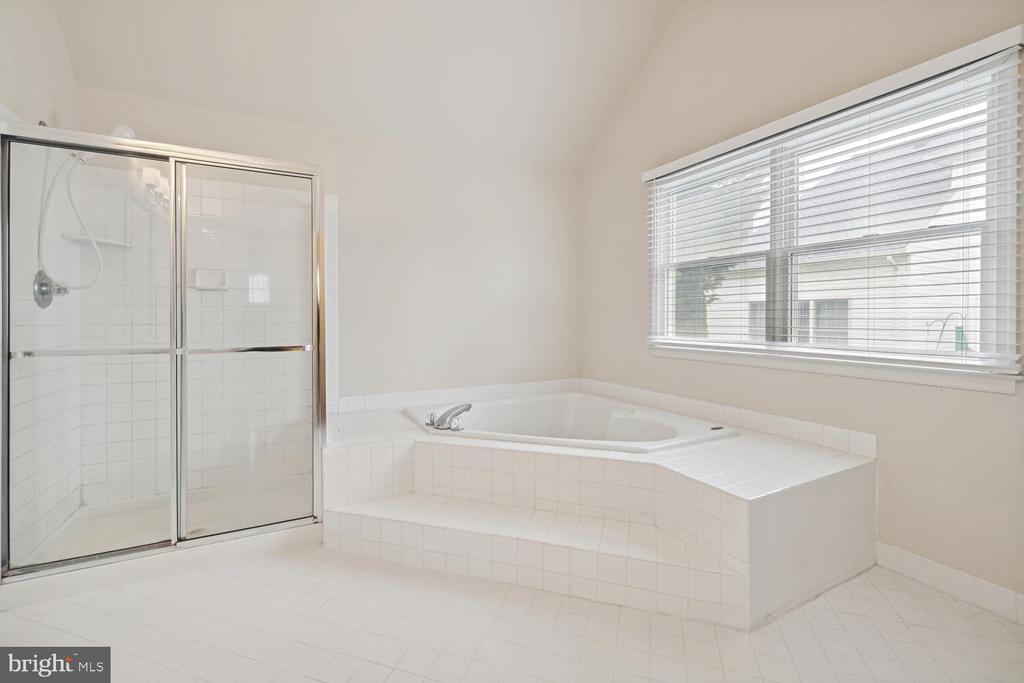 22003 WHITE TRELLIS LANE