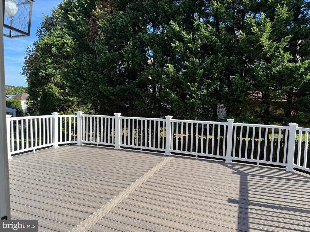 22003 WHITE TRELLIS LANE