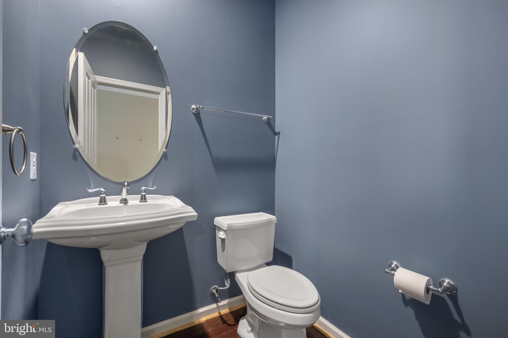 22308 SWEET PEPPERBUSH ALLEY