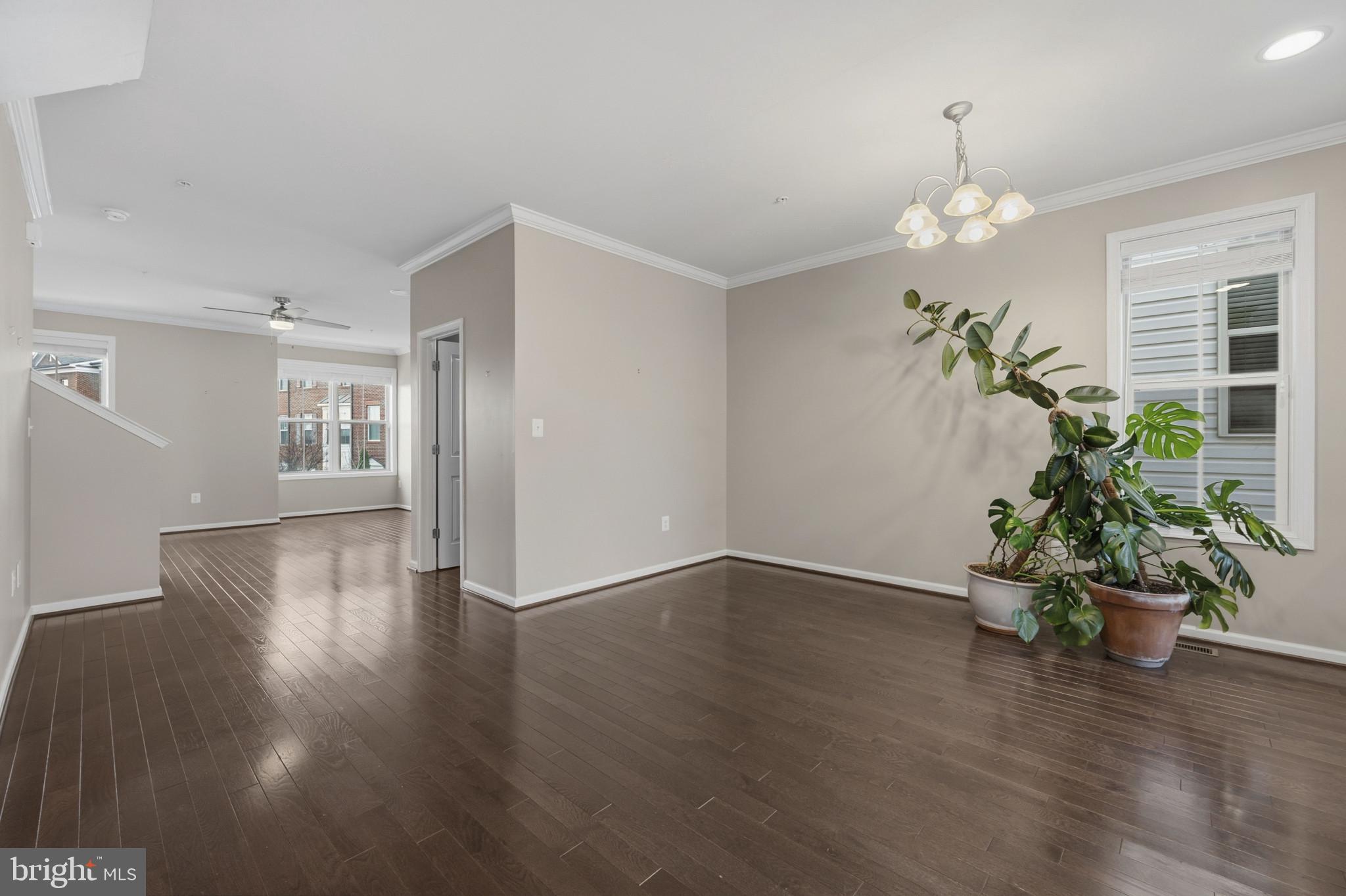 22308 SWEET PEPPERBUSH ALLEY