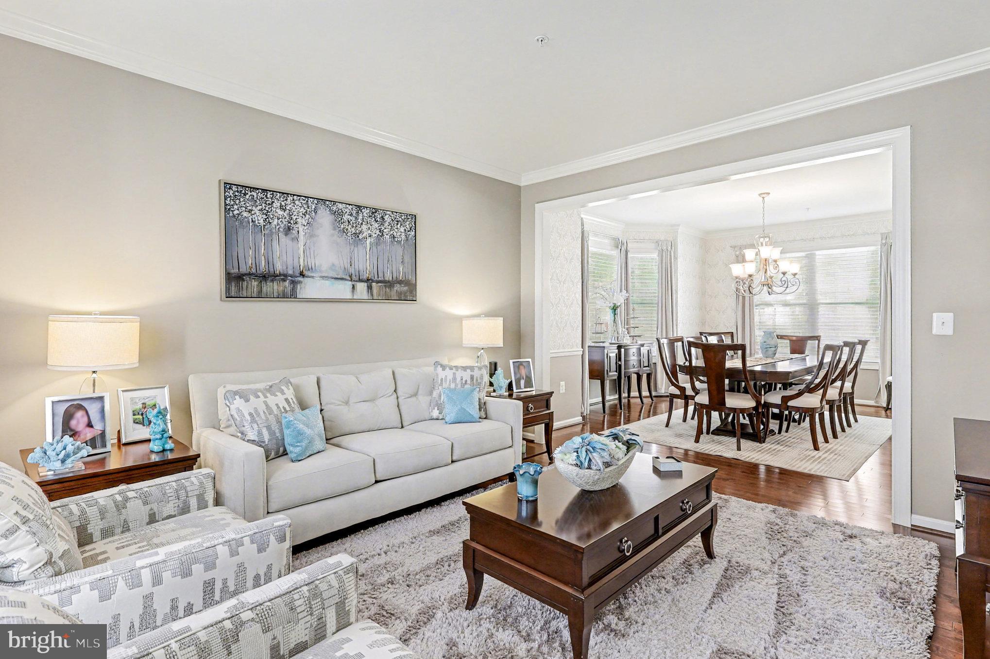 13773 NIGHT SKY DRIVE