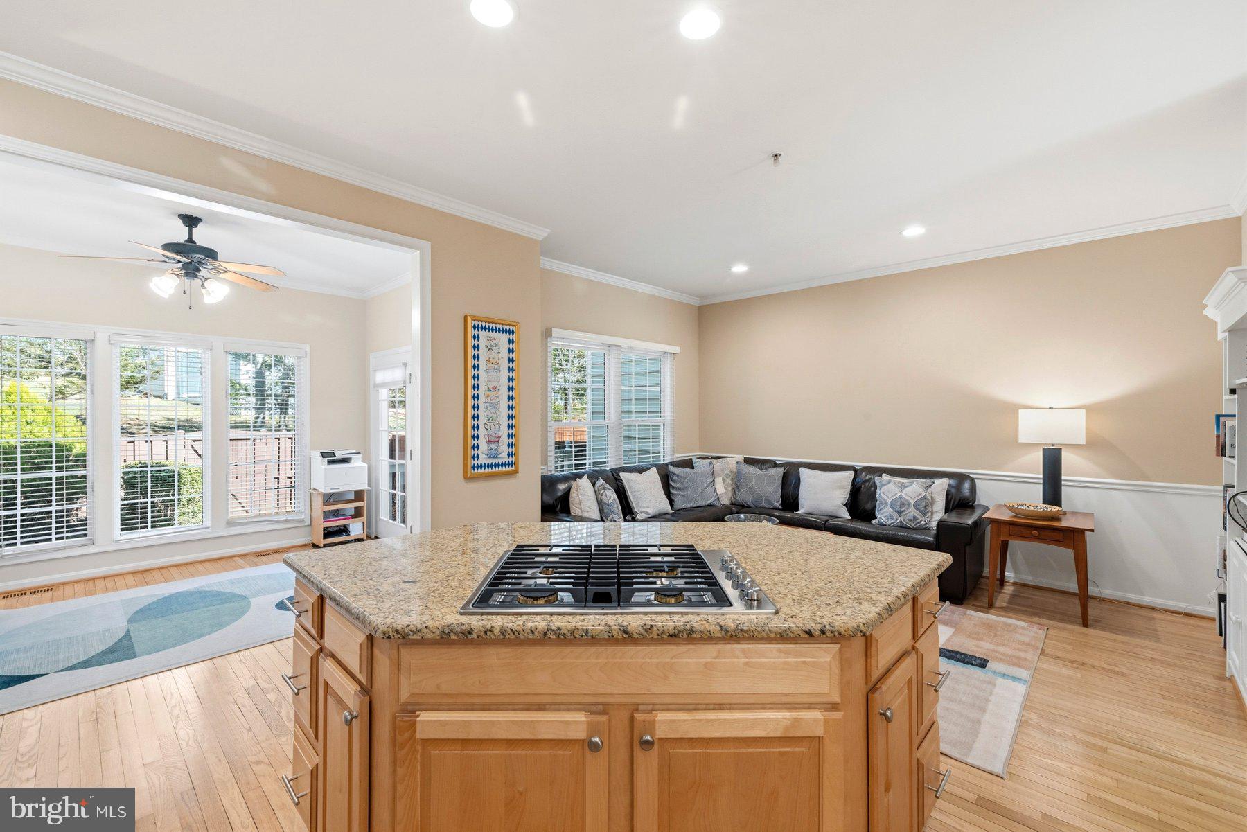 487 WINDING ROSE DRIVE