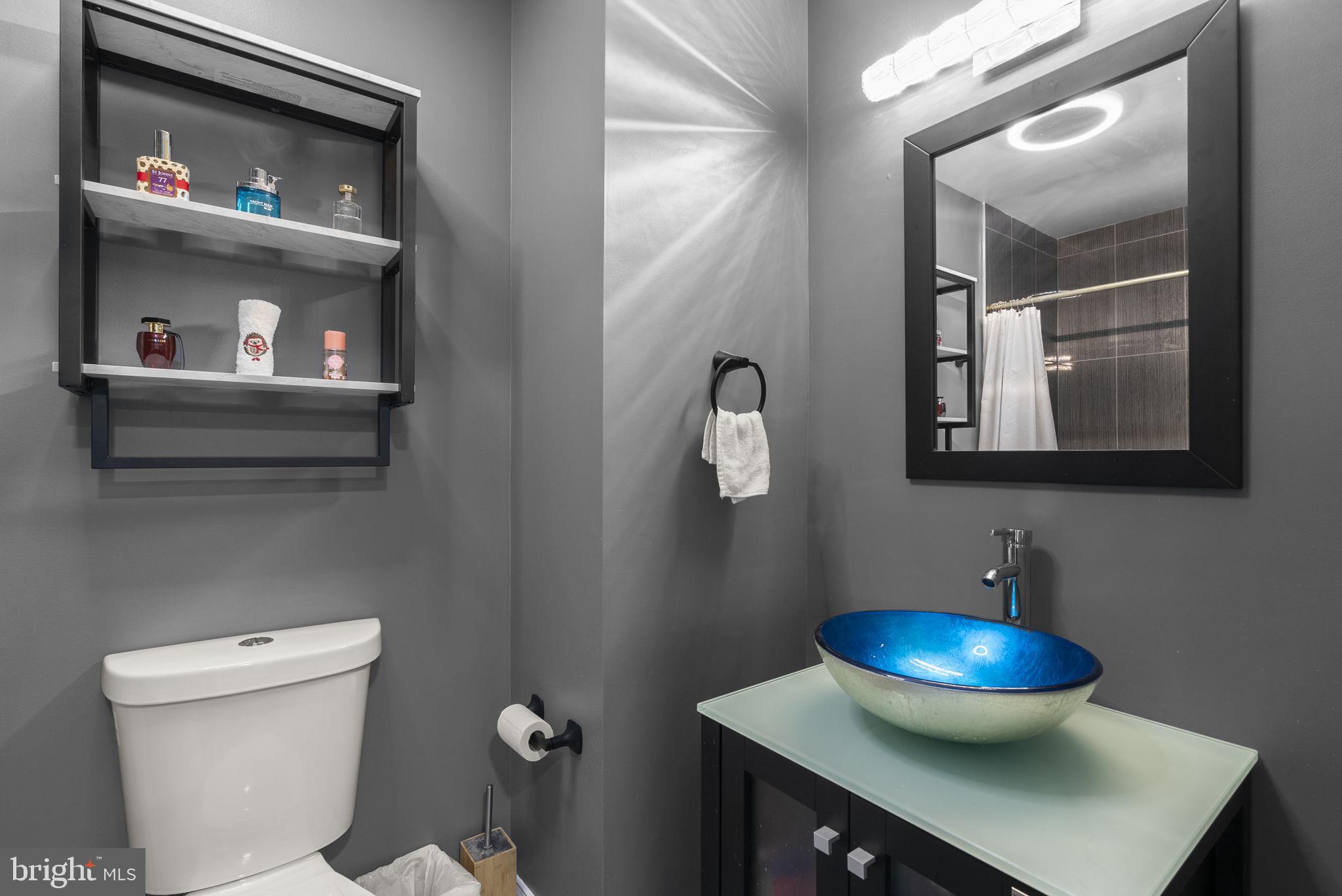 11317 HAWKS RIDGE TERRACE 91