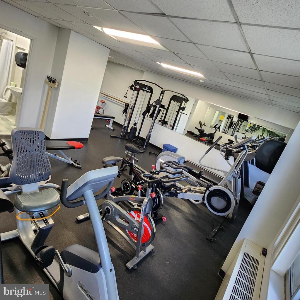 11801 ROCKVILLE PIKE 709