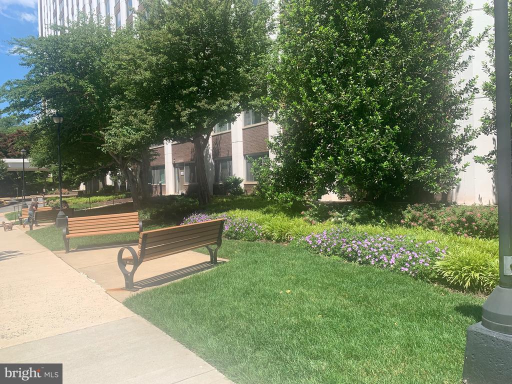 11801 ROCKVILLE PIKE 709