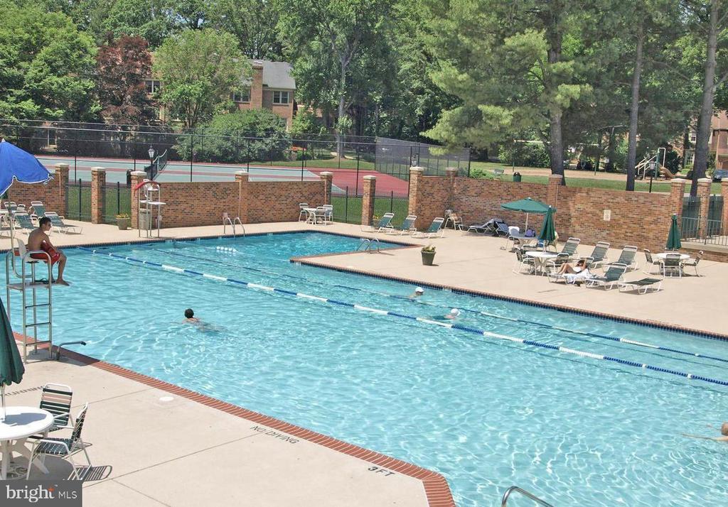 11415 COMMONWEALTH DRIVE Unit: 204