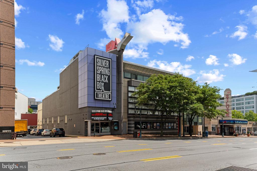930 WAYNE AVENUE Unit: 610