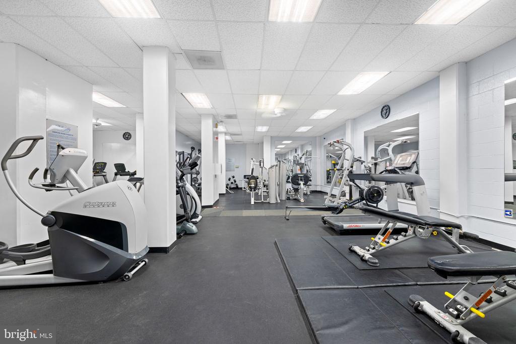 4515 WILLARD AVENUE Unit: 509S